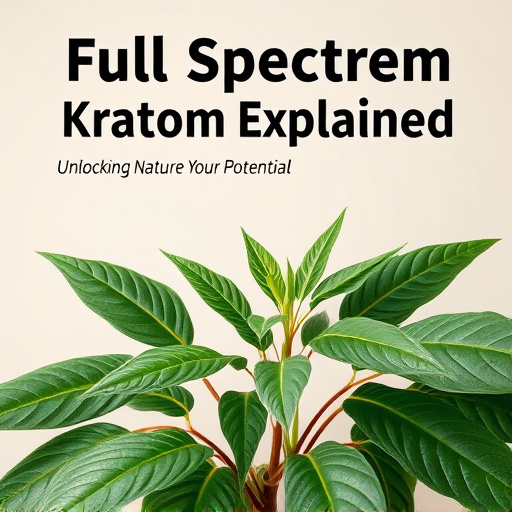 Full Spectrum Kratom Explained: Unlocking Nature’s Potential