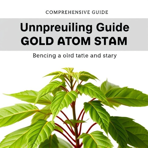Comprehensive Guide: Unveiling Gold Kratom Strain Benefits and Usage