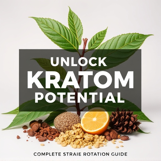 Unlock Kratom Potential: Complete Strain Rotation Guide