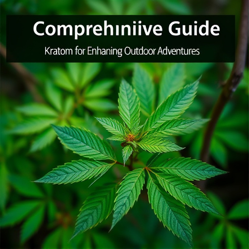 Comprehensive Guide: Kratom for Enhancing Outdoor Adventures