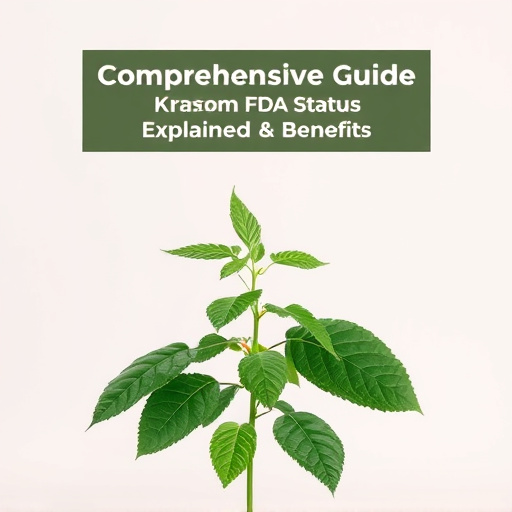 Comprehensive Guide: Kratom FDA Status Explained & Benefits