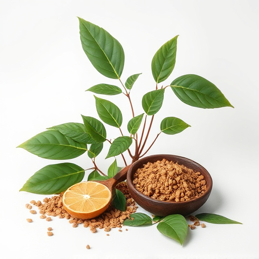 Master Kratom Freshness Test: Expert Guide for Optimal Use