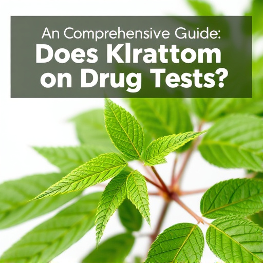 Comprehensive Guide: Does Kratom Show on Drug Tests?