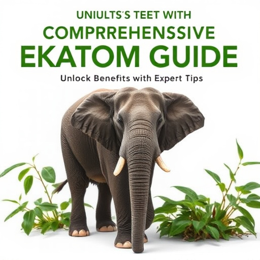 Comprehensive Elephant Kratom Guide: Unlock Benefits with Expert Tips