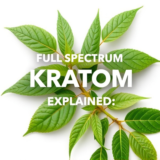 Full Spectrum Kratom Explained: Benefits, Usage, and Future Insights