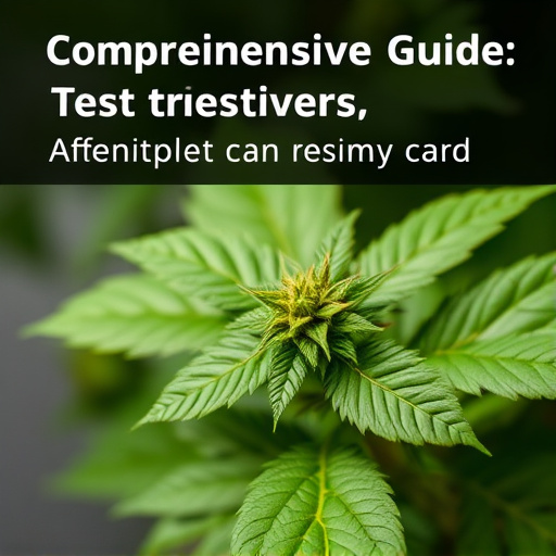 Comprehensive Guide: Test Kratom Freshness, Ensure Quality