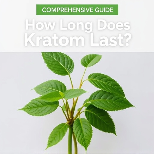 Comprehensive Guide: How Long Does Kratom Last?