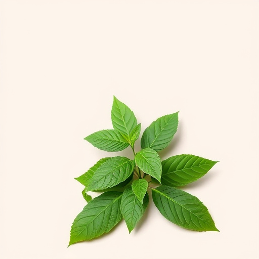 Kratom Effectiveness: Empty vs Full Stomach Guide