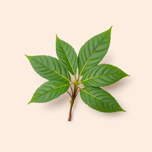 Unveiling Rare Kratom Strains: A Comprehensive Guide to Benefits and Usage