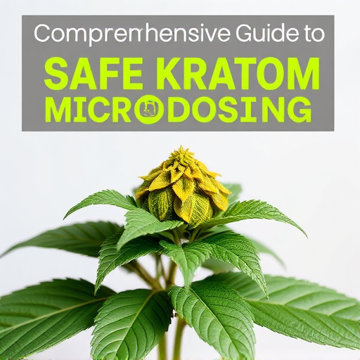 Comprehensive Guide to Safe Kratom Microdosing: Facts and Tips