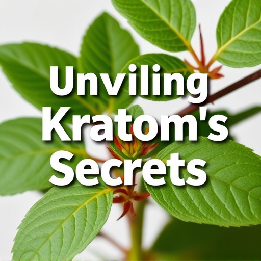 Unveiling Kratom’s Secrets: Alkaloids, Effects, and Expert Guidance