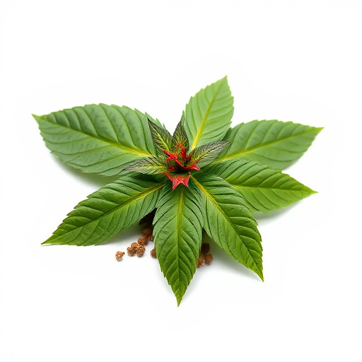 Comprehensive Guide: Navigating Kratom Import Regulations