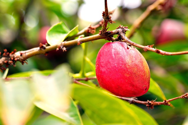 Comprehensive Guide: Kratom for Social Situations – Expert Insights