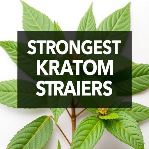 Comprehensive Guide: Strongest Kratom Strains Ranked for Wellness