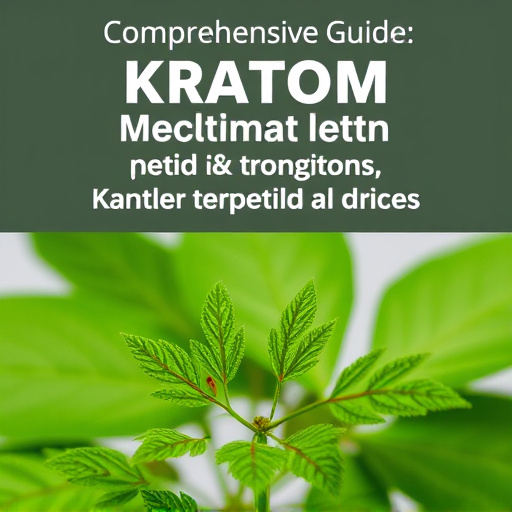 Comprehensive Guide: Kratom Medication Interactions, Tips & Expert Insights