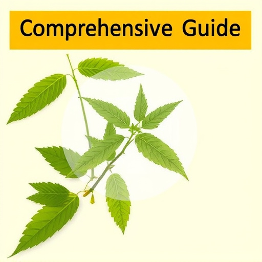 Comprehensive Guide: Gold Kratom Strain Overview & Benefits
