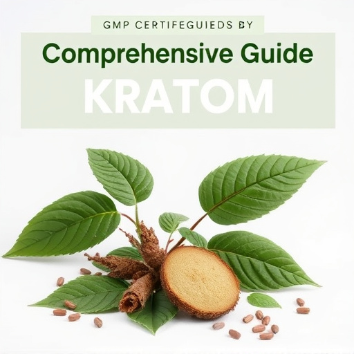 Comprehensive Guide: GMP Certified Kratom Explained & Benefits