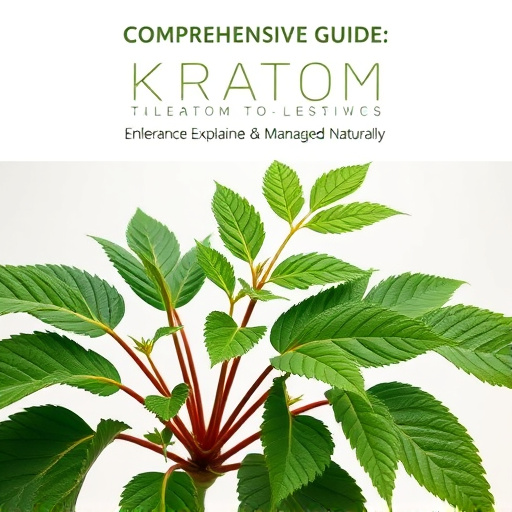 Comprehensive Guide: Kratom Tolerance Explained & Managed Naturally
