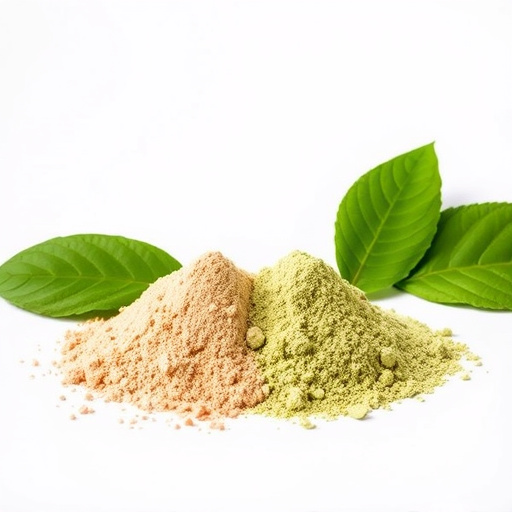 Kratom Extract vs Powder: Unveiling Key Differences and Benefits