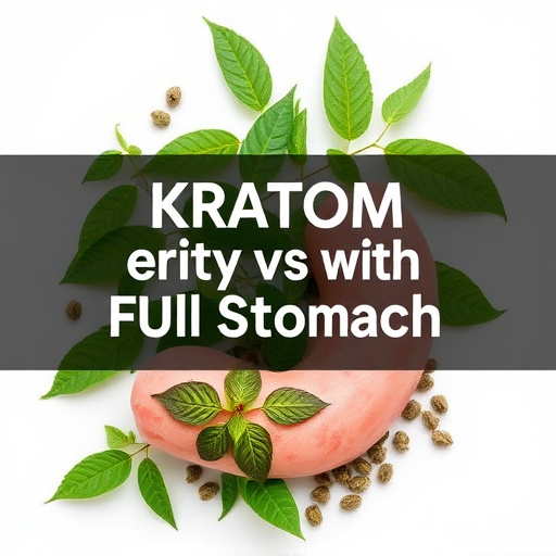 Comprehensive Guide: Kratom on Empty vs Full Stomach