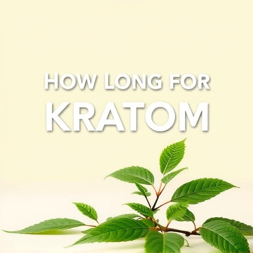 Comprehensive Guide: How Long for Kratom to Kick In
