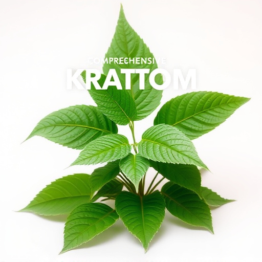 Comprehensive Kratom Guide: Safe Buying, Optimal Strain Choice