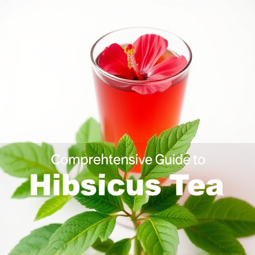 Comprehensive Guide to Hibiscus Tea Benefits and Recipe