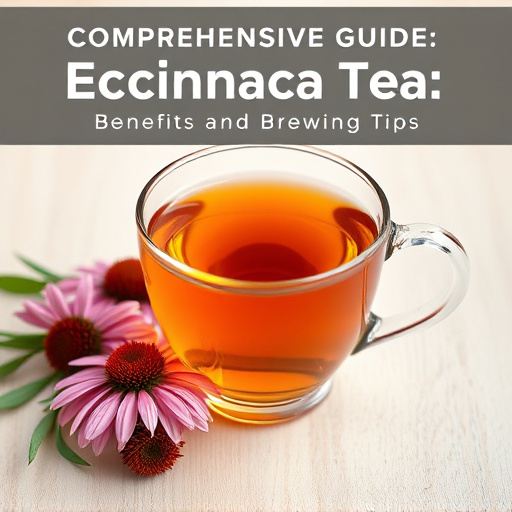 Comprehensive Guide to Echinacea Tea: Benefits and Brewing Tips