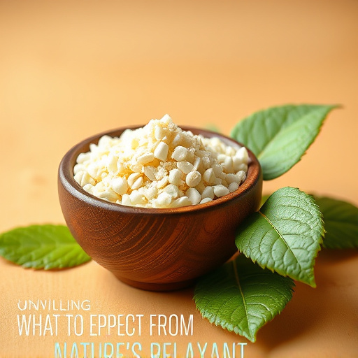 Unveiling Kava’s Effects: What to Expect from Nature’s Relaxant