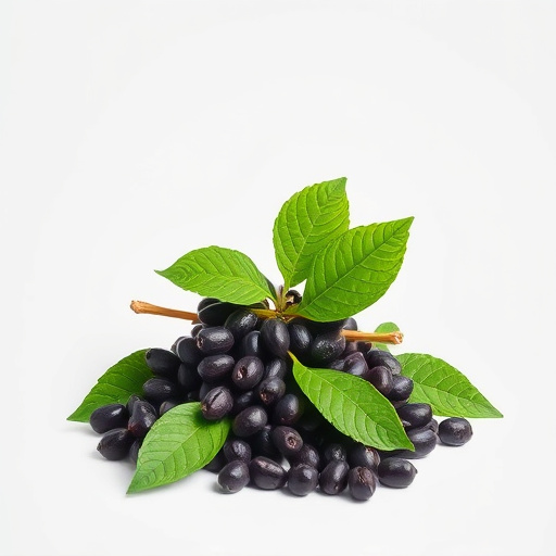 Unveiling Kava’s Power: Kavalactones and Their Benefits Unlocked