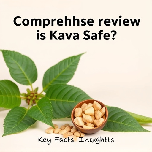 Comprehensive Review: Is Kava Safe? Key Facts & Expert Insights
