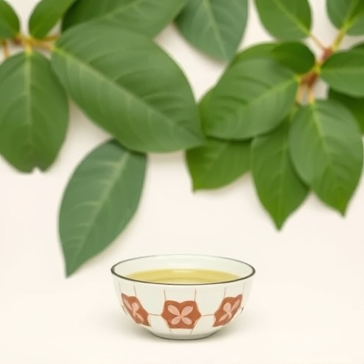 Comprehensive Review: Is Kava Safe for Stress Relief?