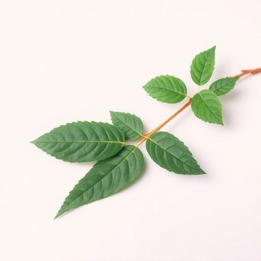 Unveiling Top Kava Strains: Expert Guide to Peaceful Relaxation