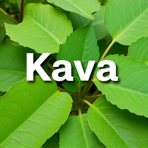 kava drink