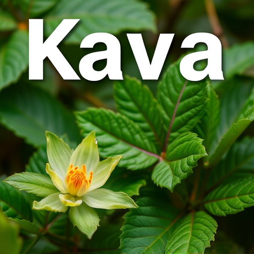 kava drink