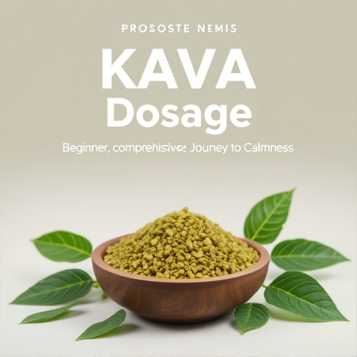 Kava Dosage Guide: Beginner’s Comprehensive Journey to Calmness