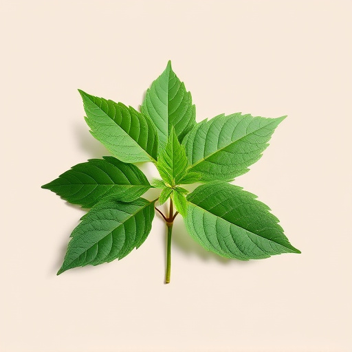 Comprehensive Guide: Kava & Medications Interactions Explained