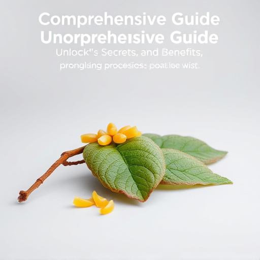 Comprehensive Guide: Unlocking Kava's Secrets and Benefits