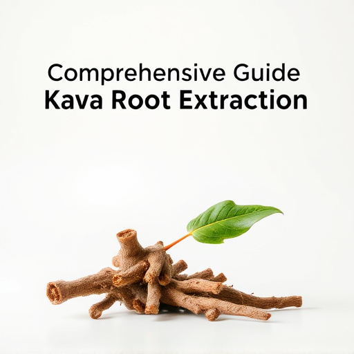 Comprehensive Guide to Kava Root Extraction: Benefits & Practices