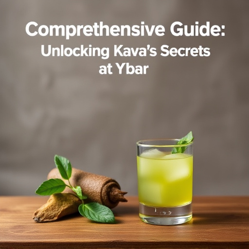Comprehensive Guide: Unlocking Kava's Secrets at Your Bar