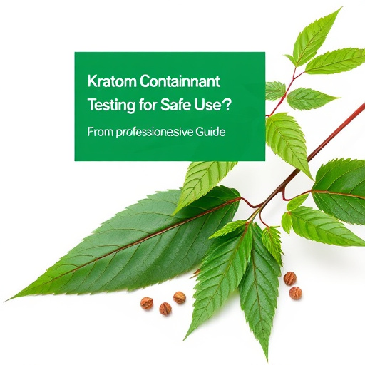 Comprehensive Guide: Kratom Contaminant Testing for Safe Use