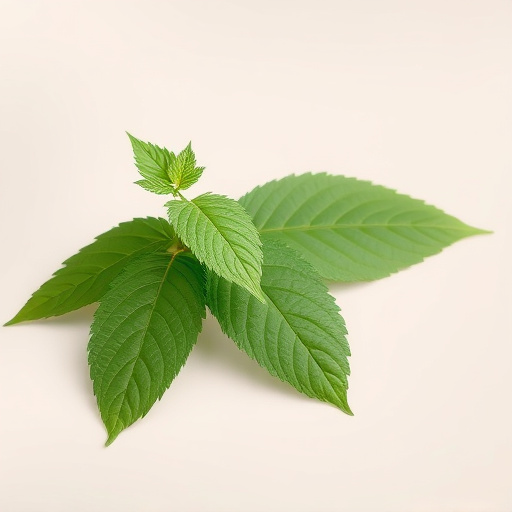 Comprehensive Guide: Does Kratom Show on Drug Tests?