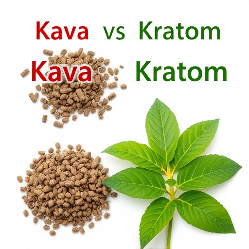 Kava vs Kratom: Unveiling Differences for Informed Choice