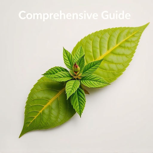 Comprehensive Guide: Testing Kratom Freshness for Optimal Benefits