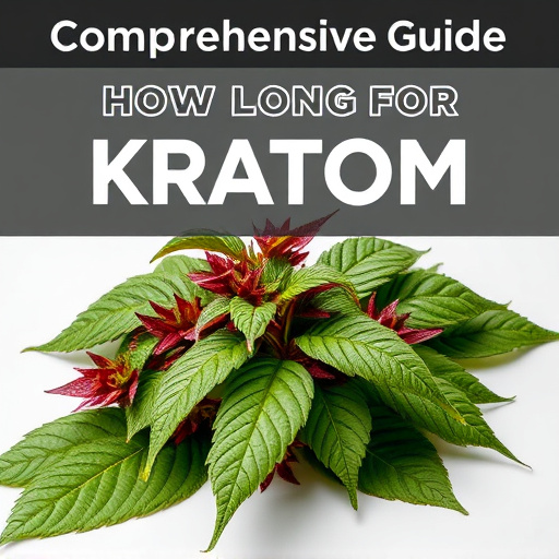 Comprehensive Guide: How Long for Kratom to Kick In