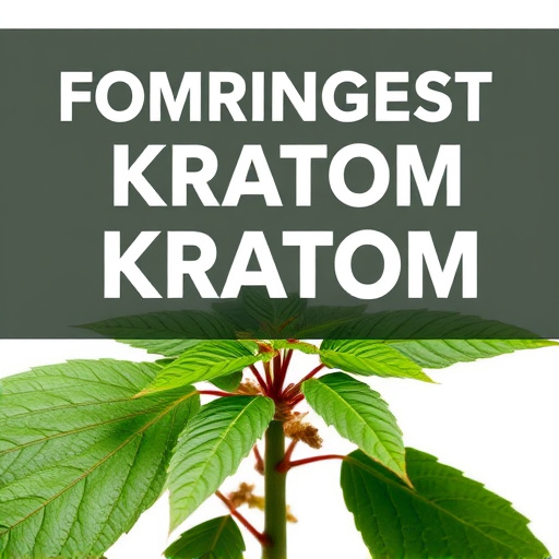 Comprehensive Guide: Strongest Kratom Strains Ranked & Benefits