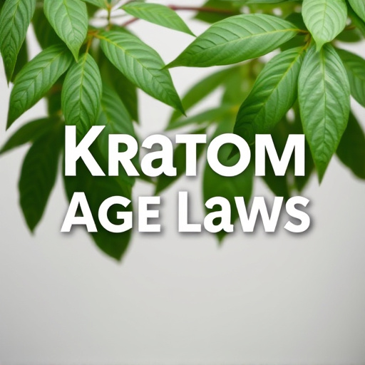 Kratom Age Laws: State-by-State Guide to Safe Consumption