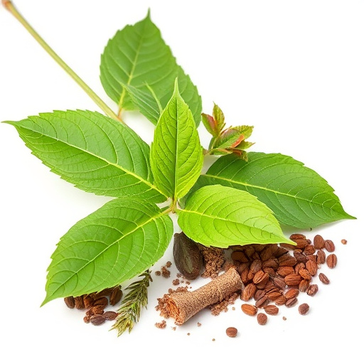 Unveiling Kratom’s Strain Secrets: Comprehensive Guide to Naming