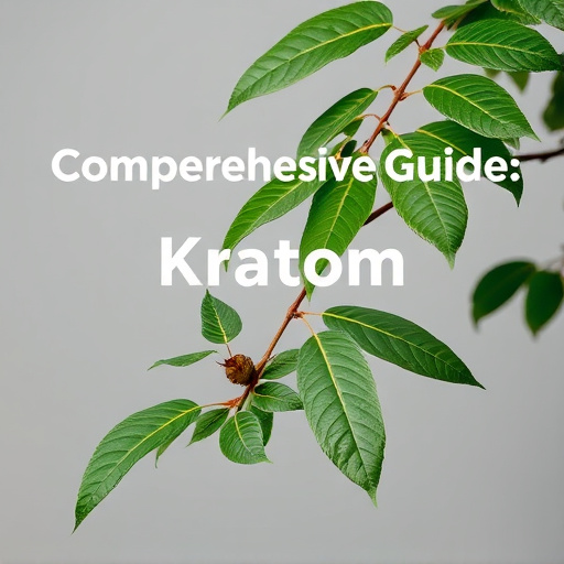Comprehensive Guide: Identify Quality Kratom for Therapeutic Benefits