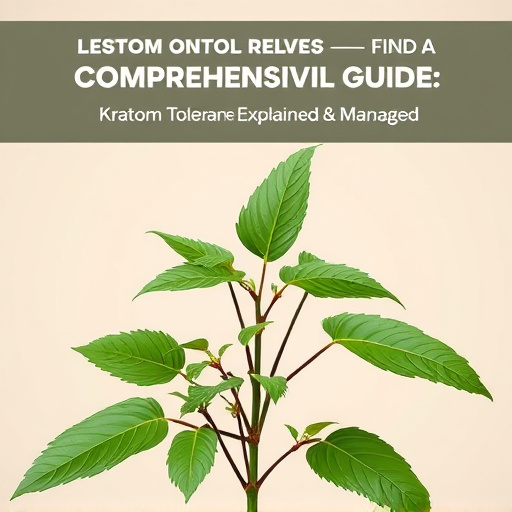 Comprehensive Guide: Kratom Tolerance Explained & Managed